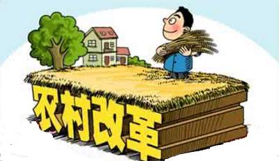 2023年农村综改明确四项重点任务